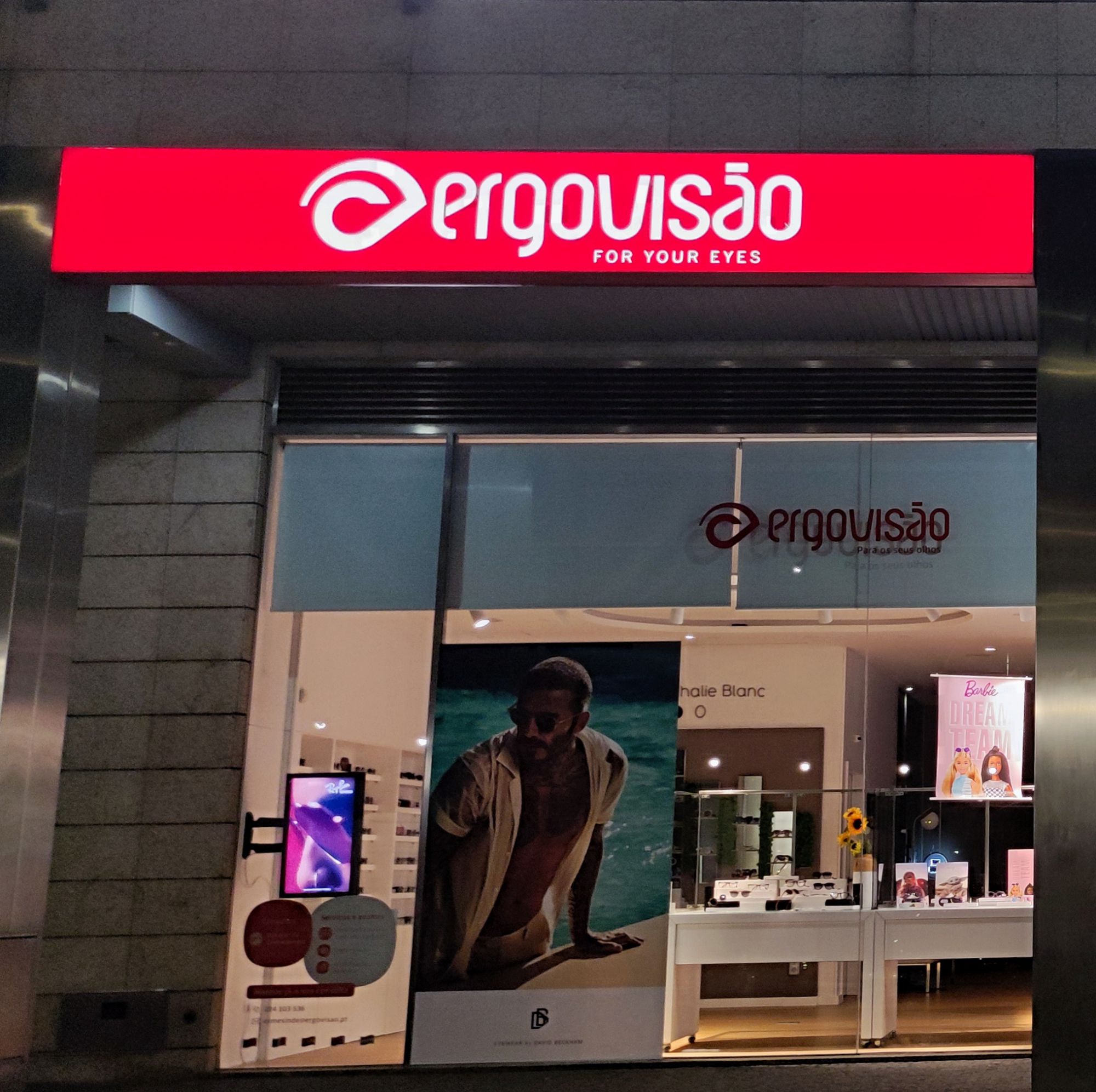 Ergovisão